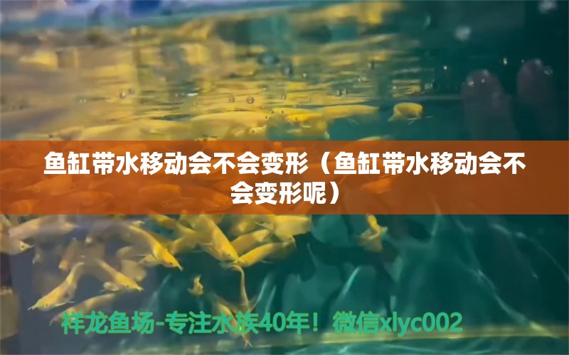 魚缸帶水移動會不會變形（魚缸帶水移動會不會變形呢）