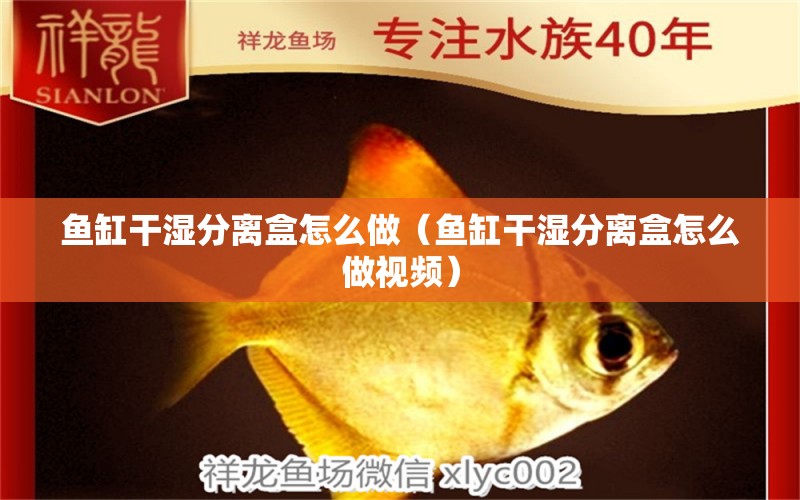 魚缸干濕分離盒怎么做（魚缸干濕分離盒怎么做視頻）