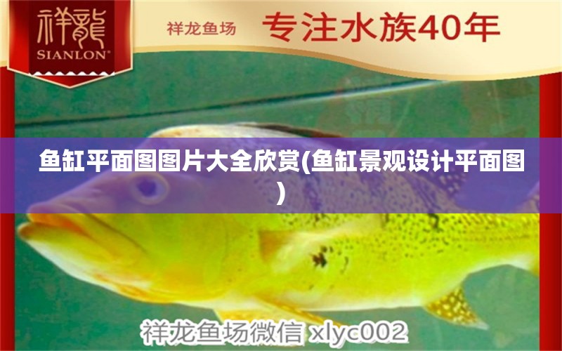 魚缸平面圖圖片大全欣賞(魚缸景觀設(shè)計平面圖) 廣州景觀設(shè)計 第1張