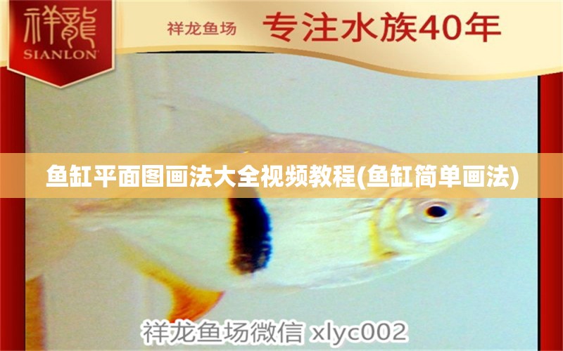 魚缸平面圖畫法大全視頻教程(魚缸簡(jiǎn)單畫法) 藍(lán)底過背金龍魚 第1張