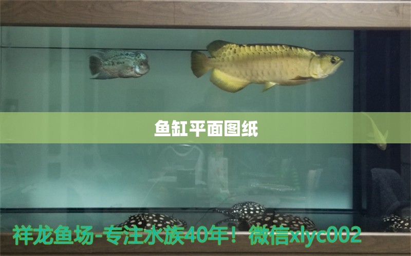 魚缸平面圖紙