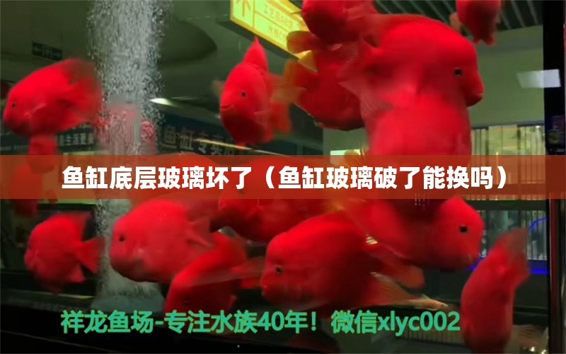 魚缸底層玻璃壞了（魚缸玻璃破了能換嗎）