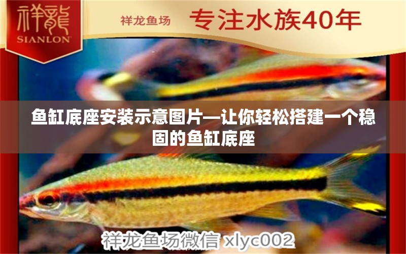 魚(yú)缸底座安裝示意圖片—讓你輕松搭建一個(gè)穩(wěn)固的魚(yú)缸底座 稀有紅龍品種