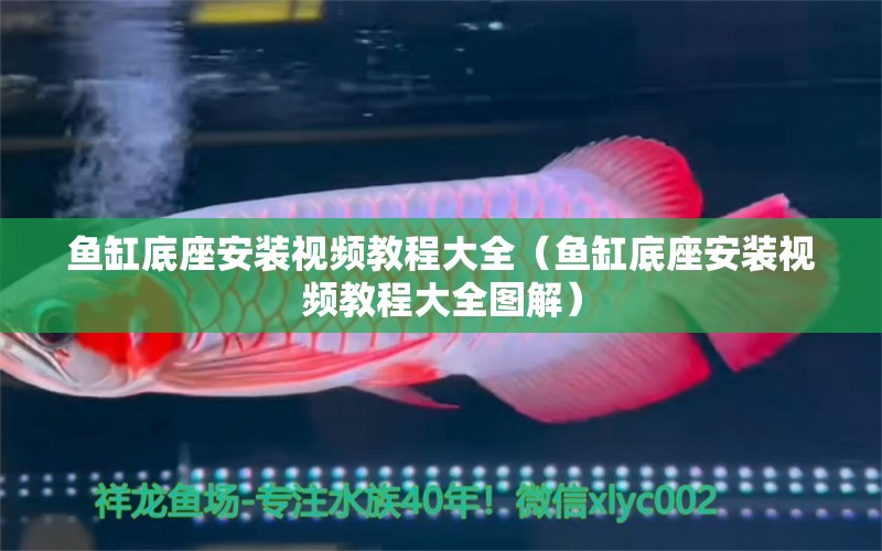 魚(yú)缸底座安裝視頻教程大全（魚(yú)缸底座安裝視頻教程大全圖解）