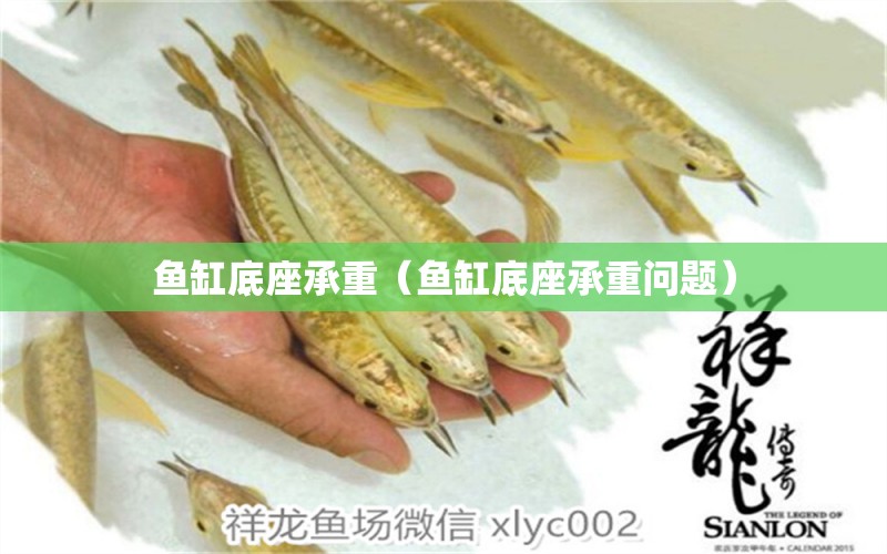 魚缸底座承重（魚缸底座承重問題） 祥龍水族醫(yī)院