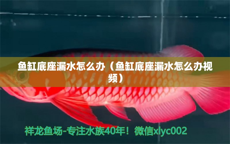 魚缸底座漏水怎么辦（魚缸底座漏水怎么辦視頻）