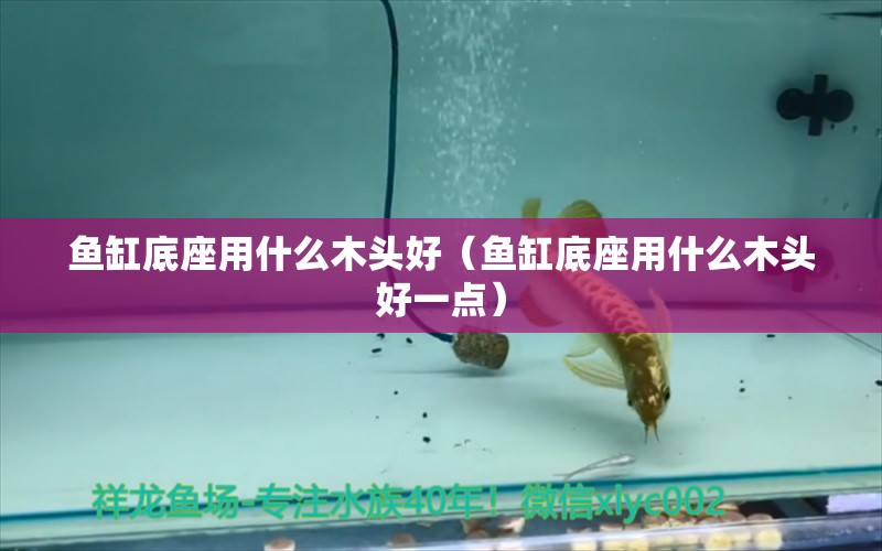 魚(yú)缸底座用什么木頭好（魚(yú)缸底座用什么木頭好一點(diǎn)）