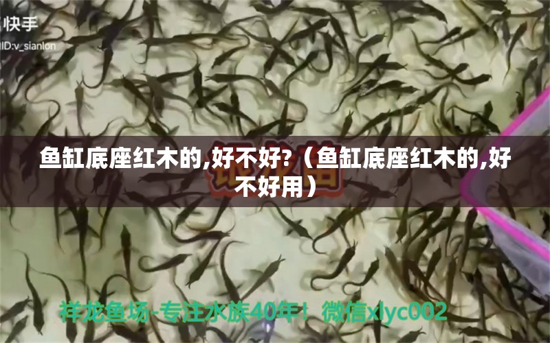 魚缸底座紅木的,好不好?（魚缸底座紅木的,好不好用）