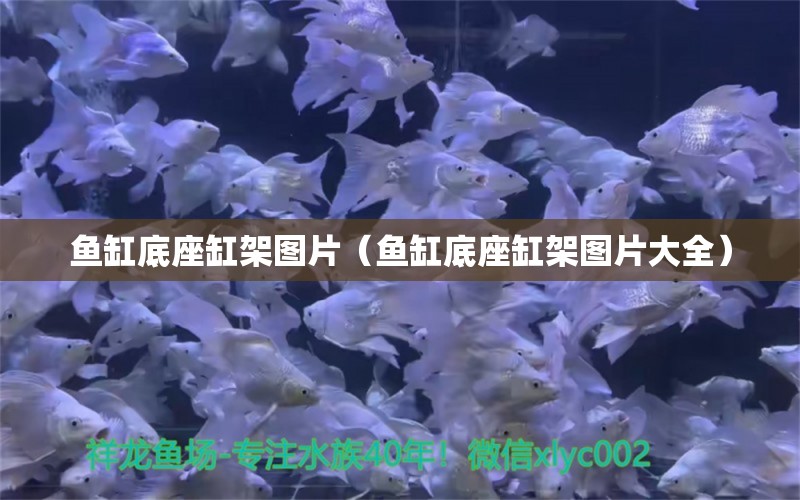 魚(yú)缸底座缸架圖片（魚(yú)缸底座缸架圖片大全）