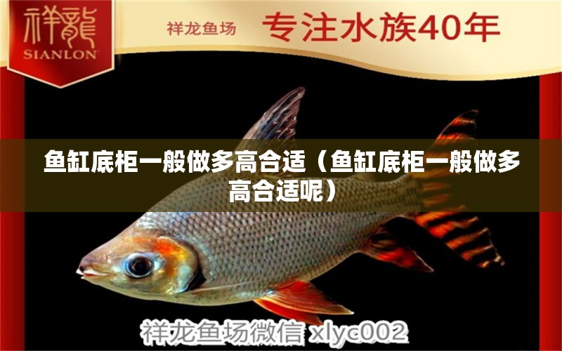 魚缸底柜一般做多高合適（魚缸底柜一般做多高合適呢） 魚缸凈水劑