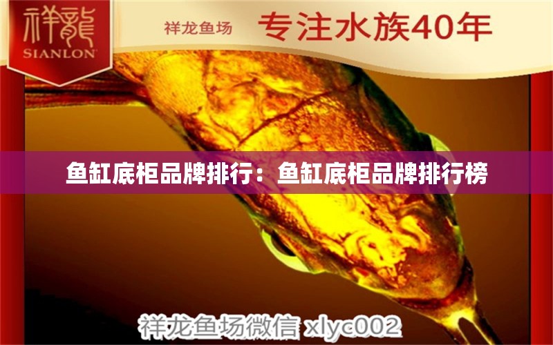 魚缸底柜品牌排行：魚缸底柜品牌排行榜