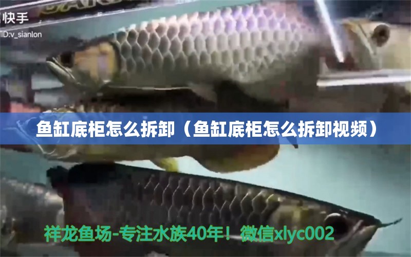 魚缸底柜怎么拆卸（魚缸底柜怎么拆卸視頻）