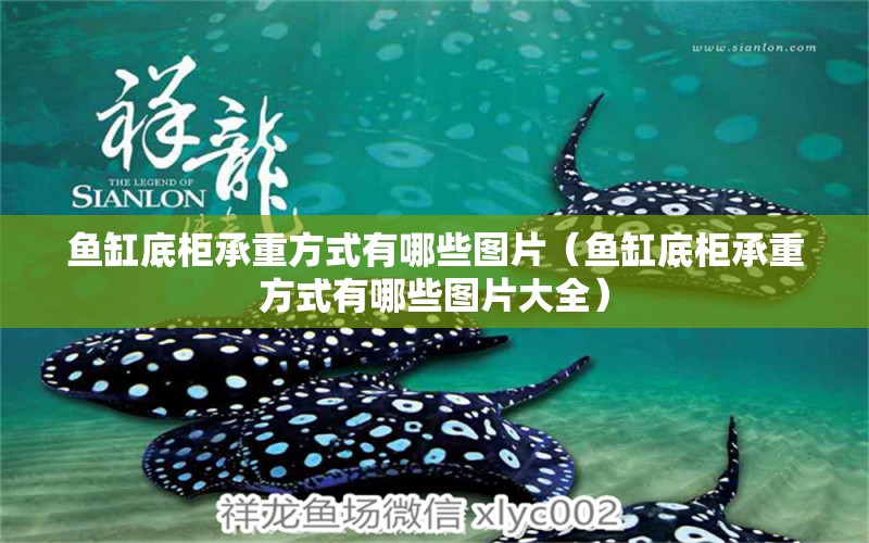 魚缸底柜承重方式有哪些圖片（魚缸底柜承重方式有哪些圖片大全）