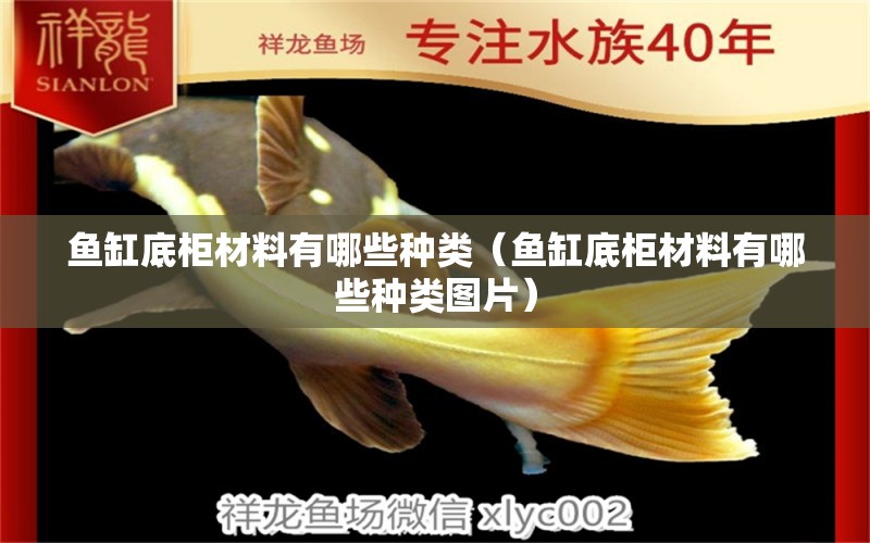 魚缸底柜材料有哪些種類（魚缸底柜材料有哪些種類圖片）