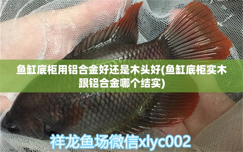 魚缸底柜用鋁合金好還是木頭好(魚缸底柜實木跟鋁合金哪個結(jié)實) 印尼四紋虎 第1張