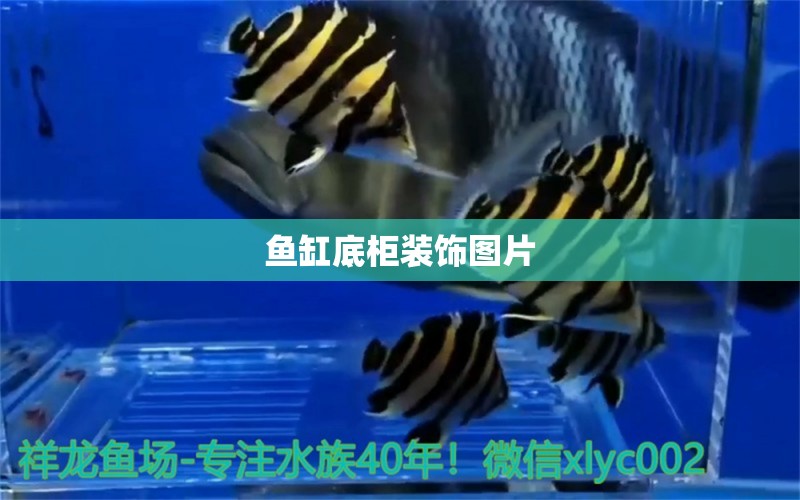 魚缸底柜裝飾圖片