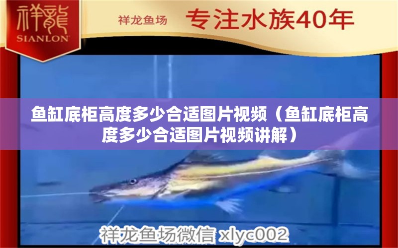 魚缸底柜高度多少合適圖片視頻（魚缸底柜高度多少合適圖片視頻講解）