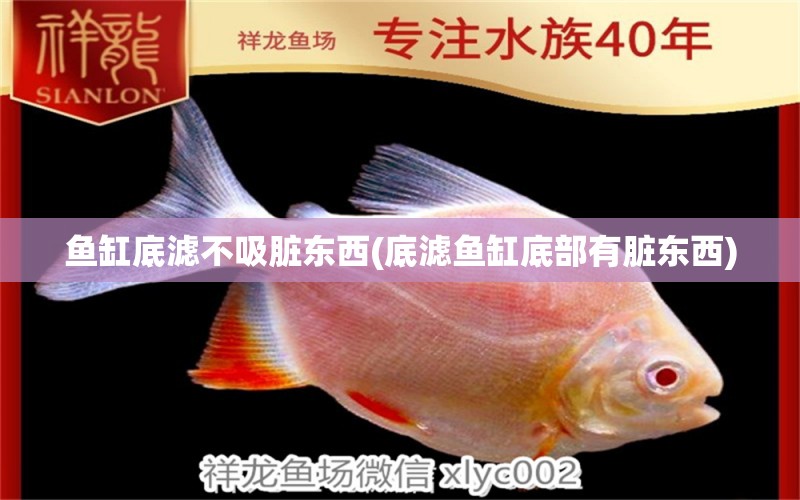 魚缸底濾不吸臟東西(底濾魚缸底部有臟東西)