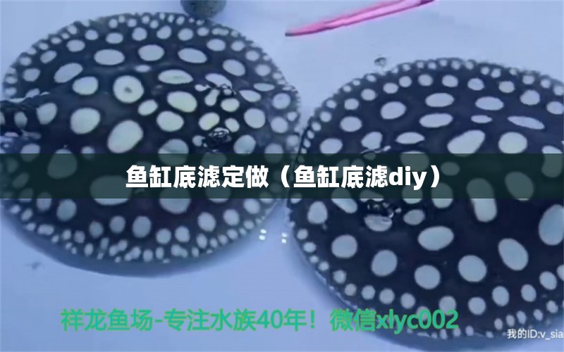 魚缸底濾定做（魚缸底濾diy） 廣州觀賞魚批發(fā)市場