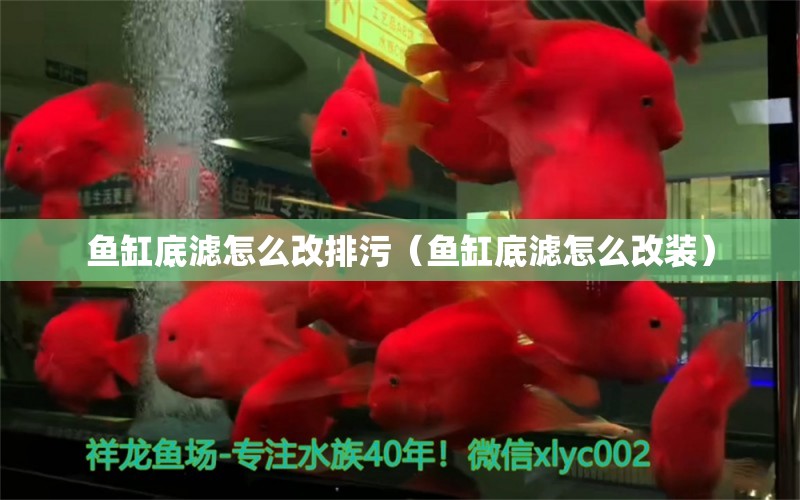 魚缸底濾怎么改排污（魚缸底濾怎么改裝）