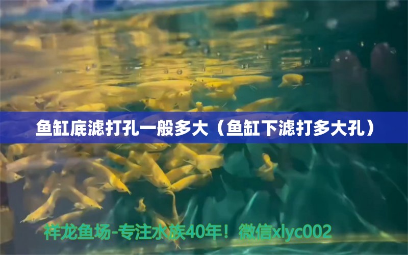 魚缸底濾打孔一般多大（魚缸下濾打多大孔） 廣州觀賞魚批發(fā)市場