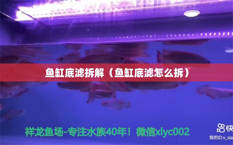 魚缸底濾拆解（魚缸底濾怎么拆）