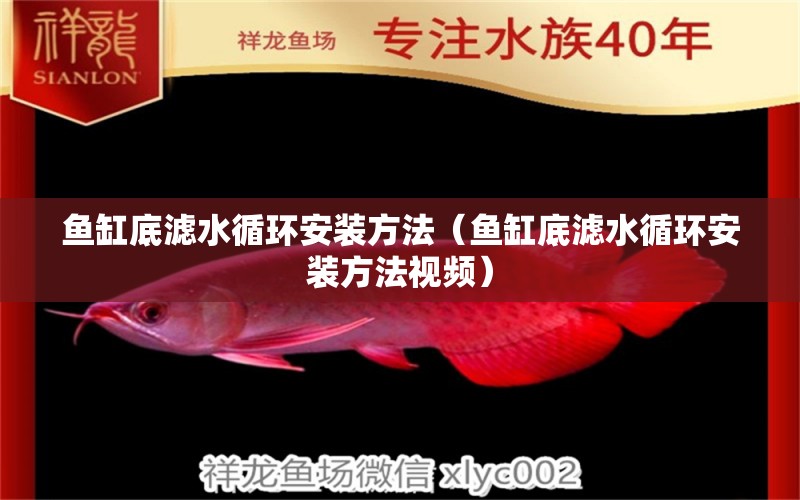 魚缸底濾水循環(huán)安裝方法（魚缸底濾水循環(huán)安裝方法視頻）