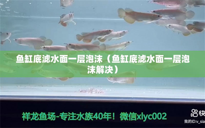 魚缸底濾水面一層泡沫（魚缸底濾水面一層泡沫解決）