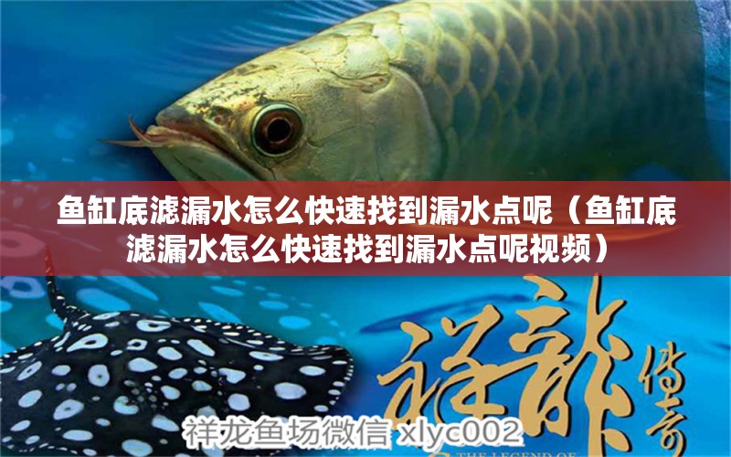 魚缸底濾漏水怎么快速找到漏水點(diǎn)呢（魚缸底濾漏水怎么快速找到漏水點(diǎn)呢視頻）