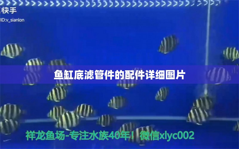 魚缸底濾管件的配件詳細圖片