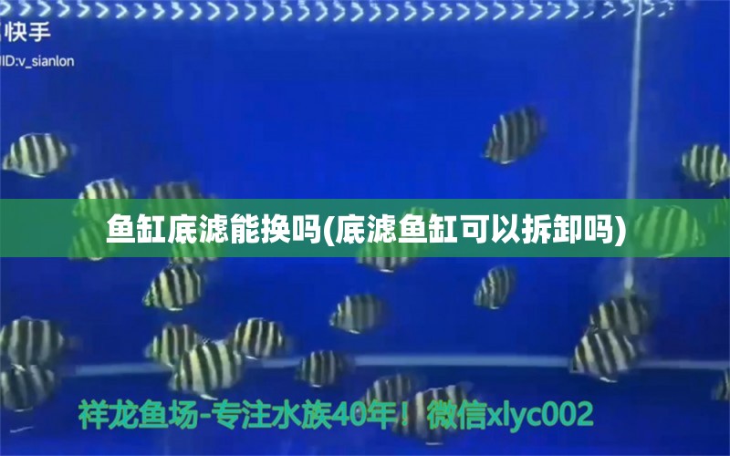 魚缸底濾能換嗎(底濾魚缸可以拆卸嗎) 觀賞魚企業(yè)目錄