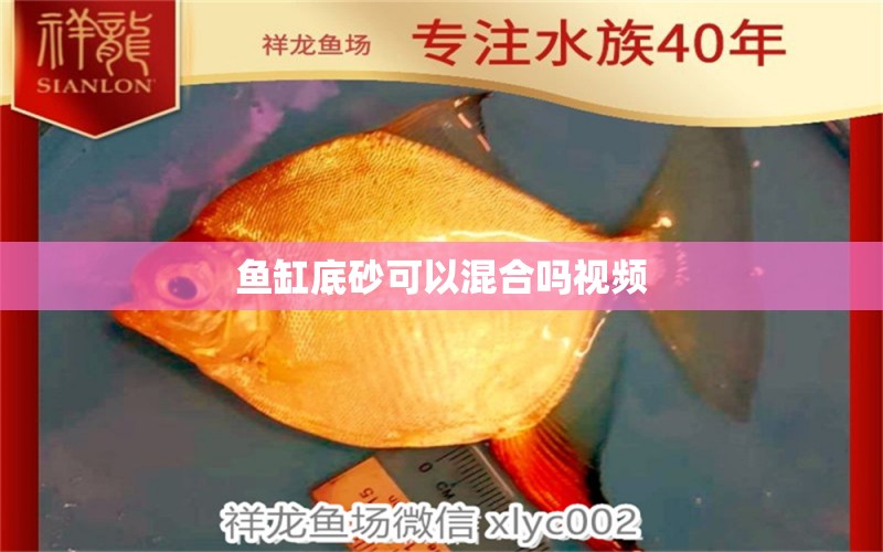 魚(yú)缸底砂可以混合嗎視頻 祥龍魚(yú)場(chǎng)