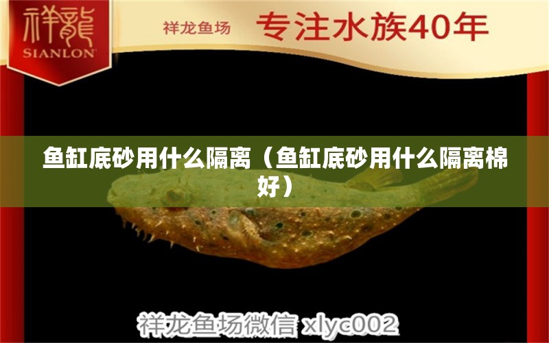 魚缸底砂用什么隔離（魚缸底砂用什么隔離棉好） 野生地圖魚