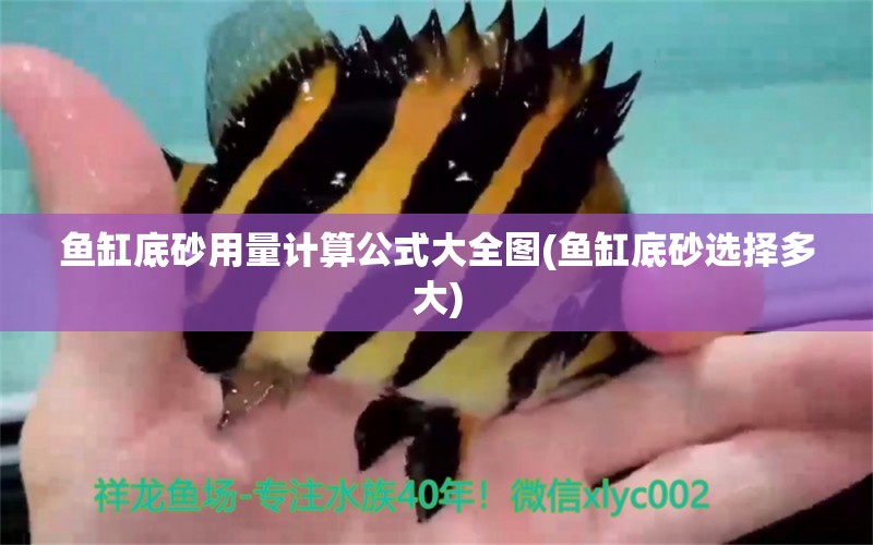 魚缸底砂用量計算公式大全圖(魚缸底砂選擇多大) 魚缸水質(zhì)穩(wěn)定劑