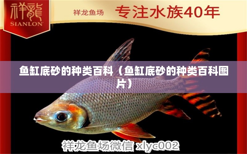 魚缸底砂的種類百科（魚缸底砂的種類百科圖片） 觀賞魚市場(chǎng)（混養(yǎng)魚）