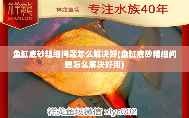 魚缸底砂粗細(xì)問題怎么解決好(魚缸底砂粗細(xì)問題怎么解決好用) 祥龍魚藥系列