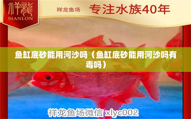 魚缸底砂能用河沙嗎（魚缸底砂能用河沙嗎有毒嗎）