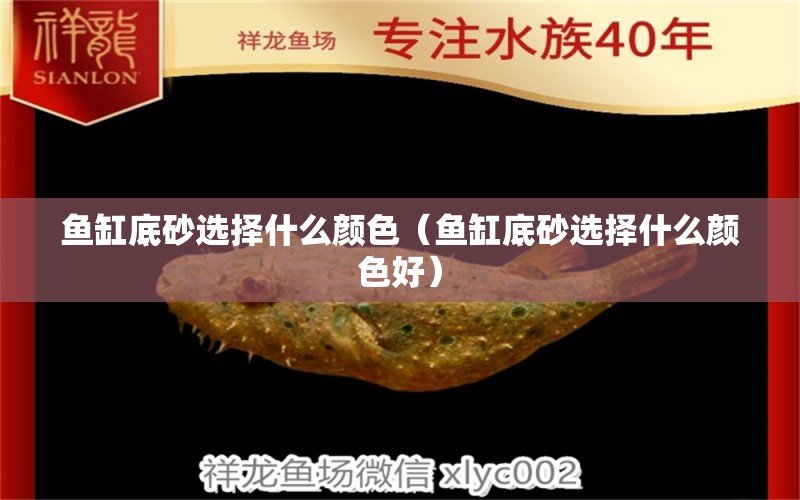 魚缸底砂選擇什么顏色（魚缸底砂選擇什么顏色好）