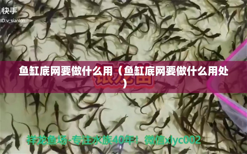 魚缸底網(wǎng)要做什么用（魚缸底網(wǎng)要做什么用處）