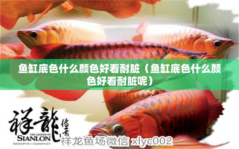 魚缸底色什么顏色好看耐臟（魚缸底色什么顏色好看耐臟呢）