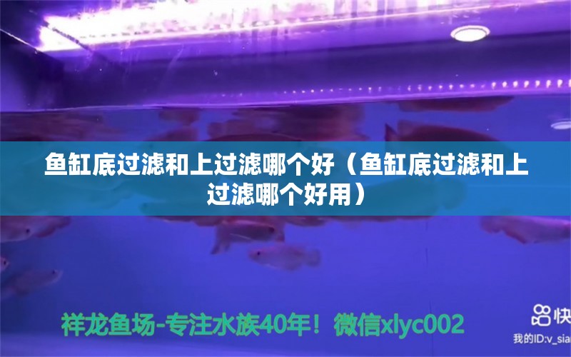 魚缸底過濾和上過濾哪個(gè)好（魚缸底過濾和上過濾哪個(gè)好用）