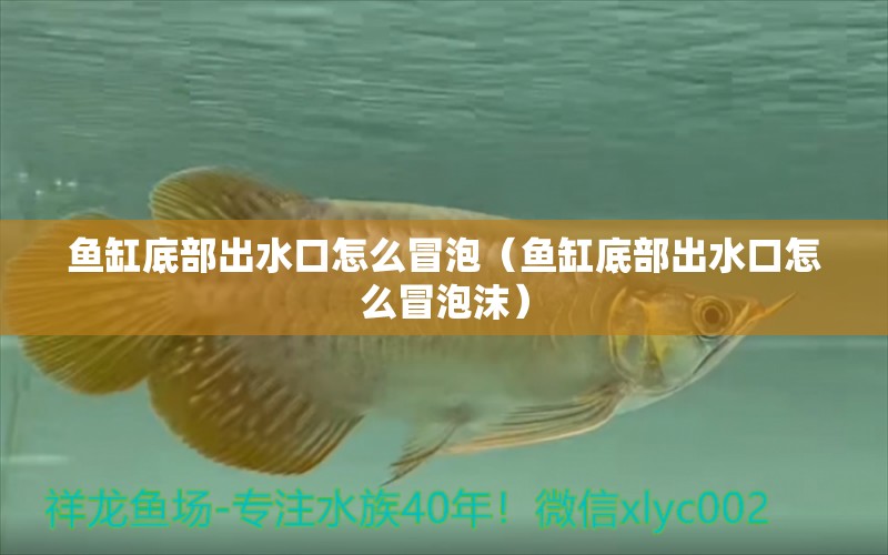 魚缸底部出水口怎么冒泡（魚缸底部出水口怎么冒泡沫）