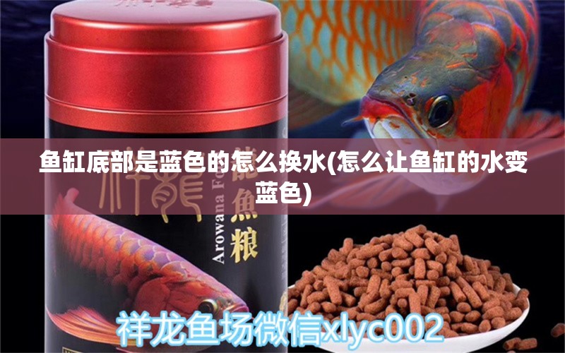 魚(yú)缸底部是藍(lán)色的怎么換水(怎么讓魚(yú)缸的水變藍(lán)色)