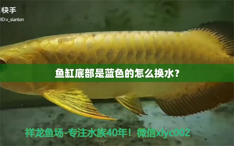 魚(yú)缸底部是藍(lán)色的怎么換水？