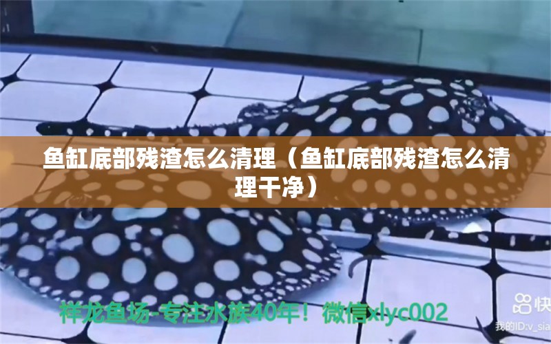 魚缸底部殘渣怎么清理（魚缸底部殘渣怎么清理干凈） 祥龍水族醫(yī)院