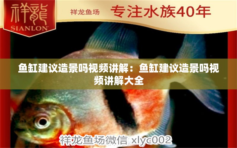 魚(yú)缸建議造景嗎視頻講解：魚(yú)缸建議造景嗎視頻講解大全