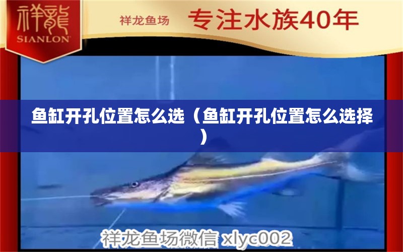 魚缸開孔位置怎么選（魚缸開孔位置怎么選擇） 水族雜談