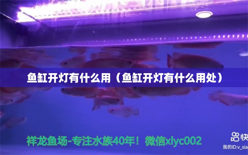 魚缸開燈有什么用（魚缸開燈有什么用處）