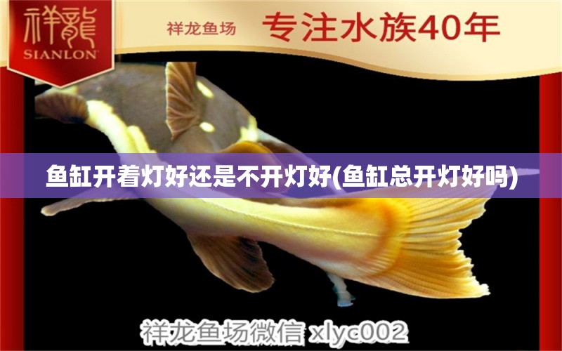 魚(yú)缸開(kāi)著燈好還是不開(kāi)燈好(魚(yú)缸總開(kāi)燈好嗎) 一眉道人魚(yú)苗