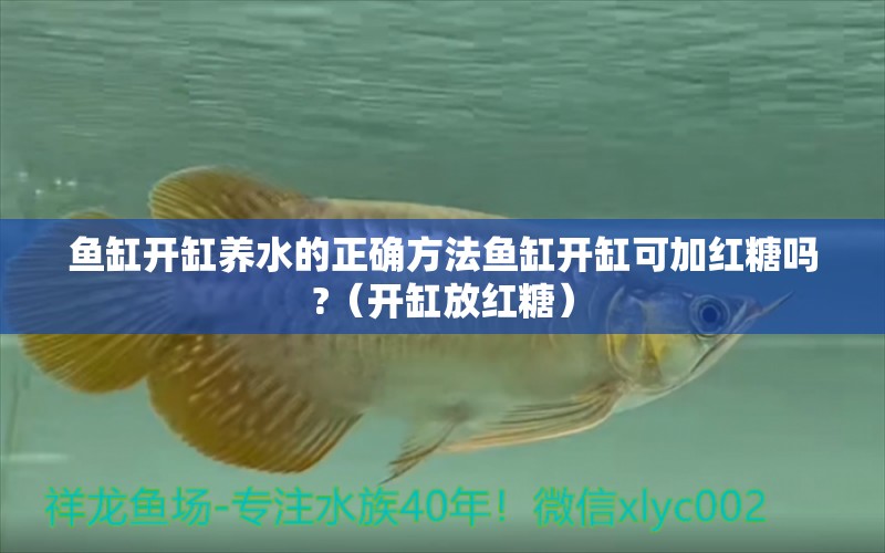 魚缸開缸養(yǎng)水的正確方法魚缸開缸可加紅糖嗎?（開缸放紅糖） 祥龍魚場